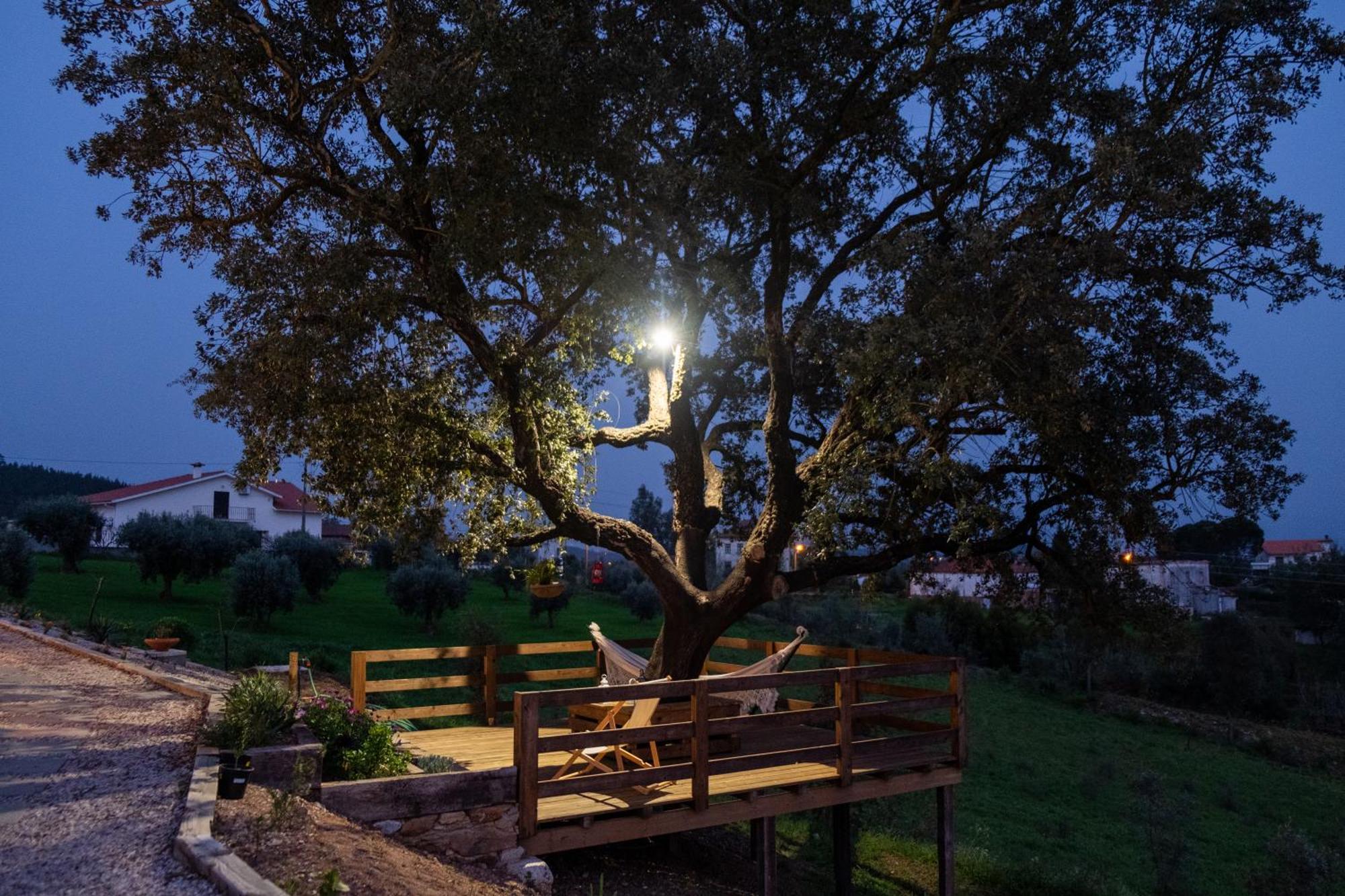 Quinta Do Esteval Penacova Exterior photo